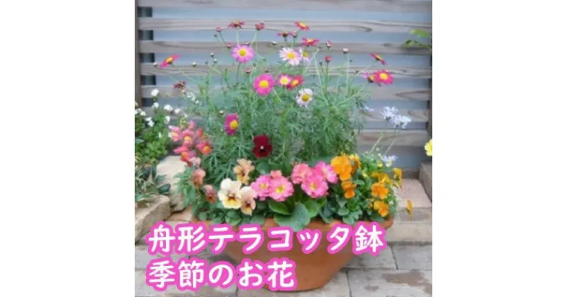 【ふるさと納税】可愛いピンクのお花たっぷりの寄せ植え　花