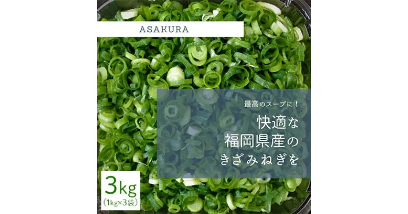 【ふるさと納税】野菜 カット ねぎ 3kg（1kg×3袋）長ネギ 配送不可エリア有り　野菜・ねぎ