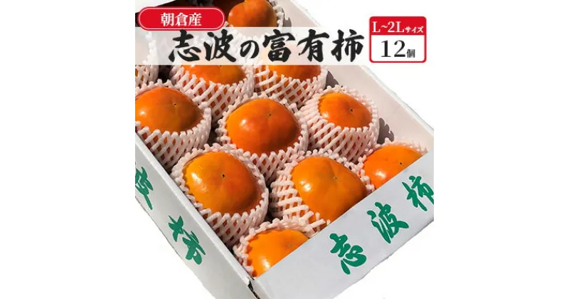 【ふるさと納税】柿 富有柿 12個入 志波の富有柿 L～2Lサイズ まるかん農園　果物類・柿・かき　お届け：2024年11月中旬～12月中旬