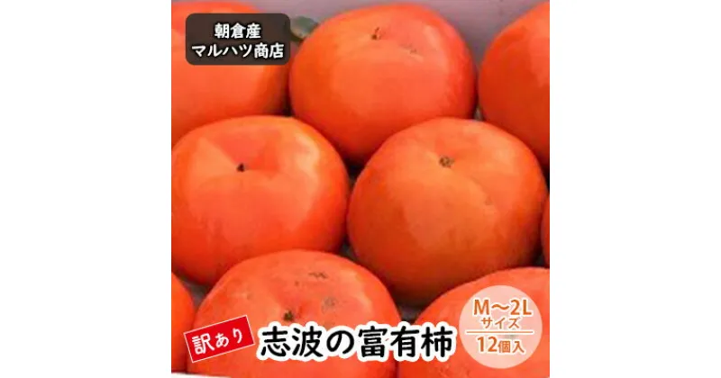 【ふるさと納税】訳あり 柿 志波の富有柿 M～2Lサイズ×12個入 マルハツ商店　果物類・柿・かき　お届け：2024年11月中旬～11月下旬