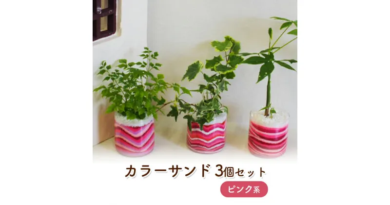 【ふるさと納税】カラーサンド 3個 セット ピンク系 植物 インテリア ガーデン　朝倉市