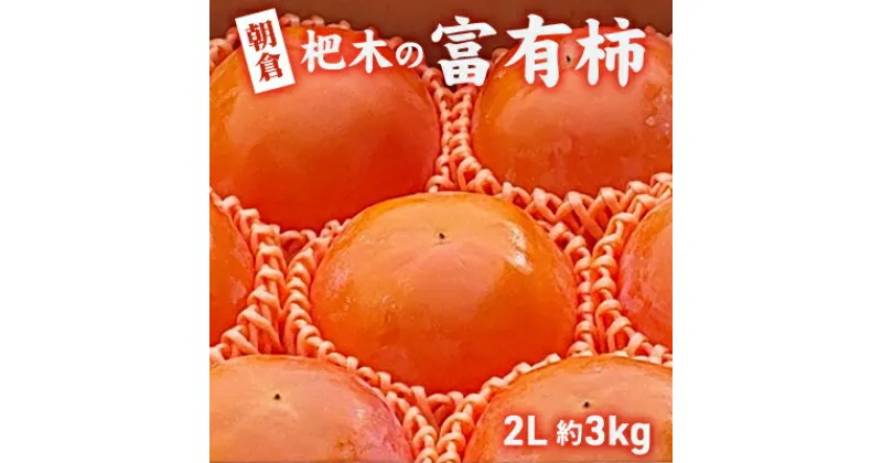 【ふるさと納税】柿 かき 富有柿 3kg 2L サイズ 10～12個入り 朝倉 杷木の富有柿 カキ フルーツ 果物　果物類・柿・かき　お届け：2024年11月25日～12月10日