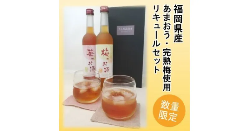 【ふるさと納税】【数量限定】濃いめのお酒 飲み比べ 500ml×2本セット（苺のお酒/梅のお酒）　お酒・洋酒・リキュール