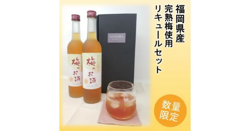 【ふるさと納税】【数量限定】梅のお酒 500ml×2本セット　お酒・洋酒・リキュール