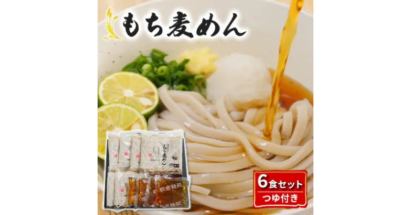 【ふるさと納税】うどん もち麦 めん つゆ セット 各6食 配送不可 離島　麺類・調味料