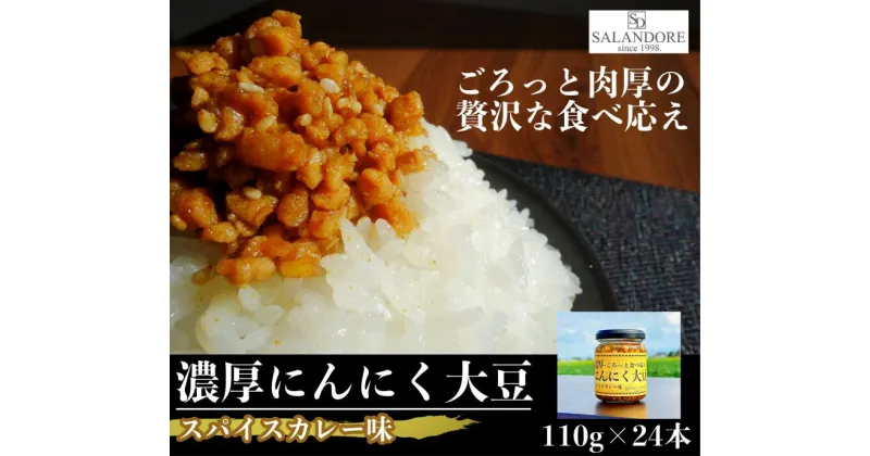 【ふるさと納税】濃厚にんにく大豆_スパイスカレー味_24本セット　加工食品・大豆・豆類・大豆ミート・独自製法・高たんぱく・食物繊維・ミネラル・ビタミン・オリジナルの味付け・カレー