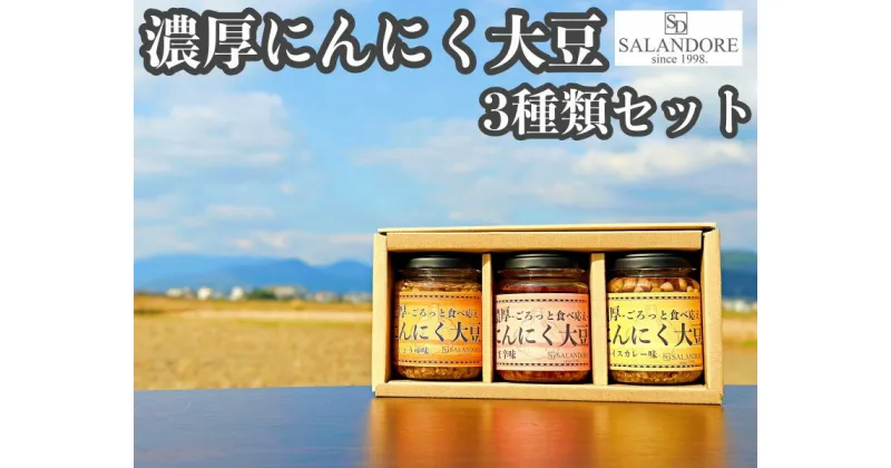 【ふるさと納税】濃厚にんにく大豆_3種類セット　加工食品・大豆・豆類・大豆ミート ・3本セット・独自製法・高たんぱく・食物繊維・ミネラル・ビタミン・オリジナルの味付け・カレー味・プレーン・ピリ辛　