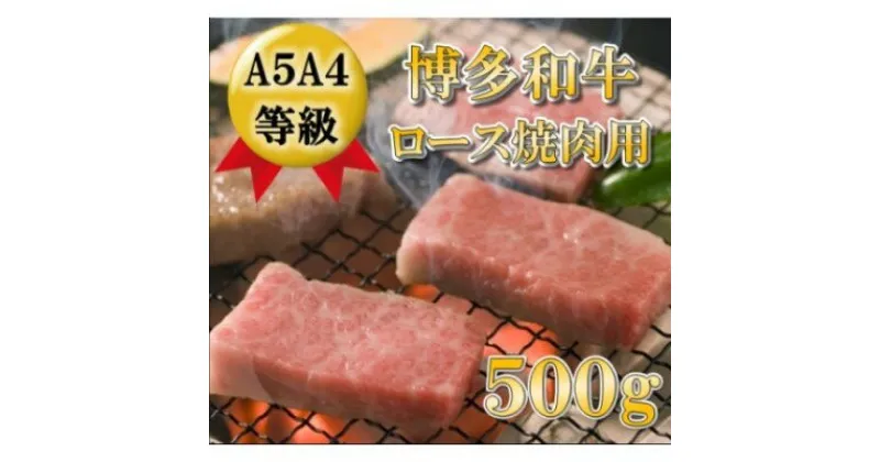 【ふるさと納税】【A5 A4 等級使用】博多和牛 ロース 焼肉用 500g 【配送不可：離島】　お肉・牛肉・ロース・和牛・焼肉・バーベキュー