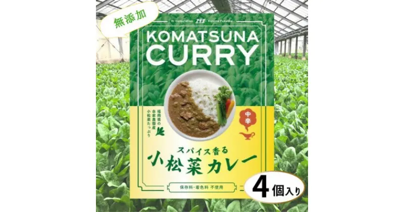 【ふるさと納税】小松菜カレー 4個　加工食品・惣菜・レトルト