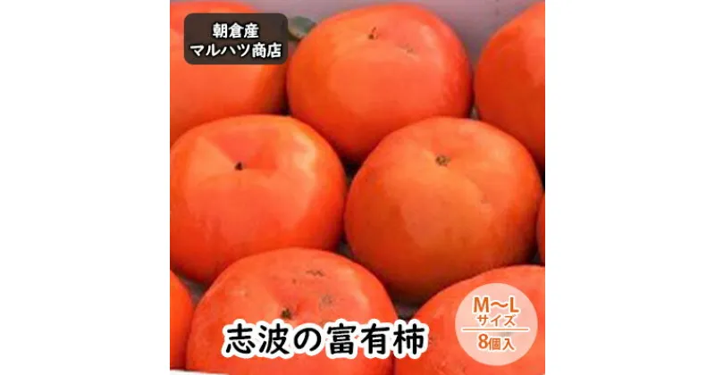 【ふるさと納税】柿 志波の富有柿 M～Lサイズ×8個入 マルハツ商店　 果物 フルーツ 秋の味覚 秋 おやつ デザート 産地直送 ブランド 柿の王様 福岡県産 朝倉市産 　お届け：2024年11月20日～12月10日