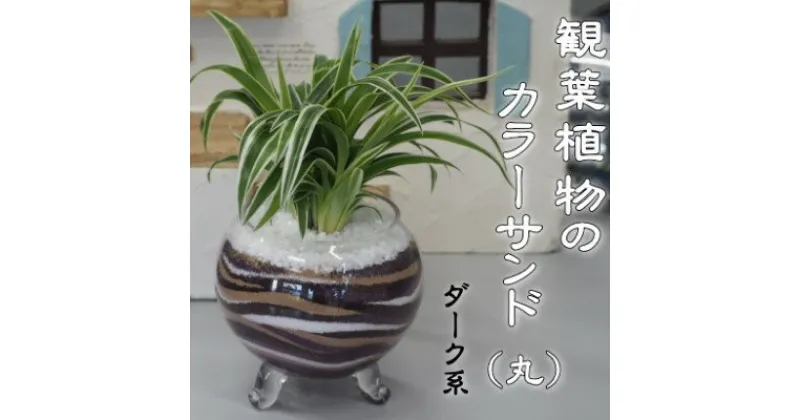 【ふるさと納税】カラーサンド（ガラス花器：丸）ダーク系　 植物 インテリア 飾り 緑 グリーン 部屋 玄関 キッチン 洗面所 丸型 ガラス花器 グリーンインテリア