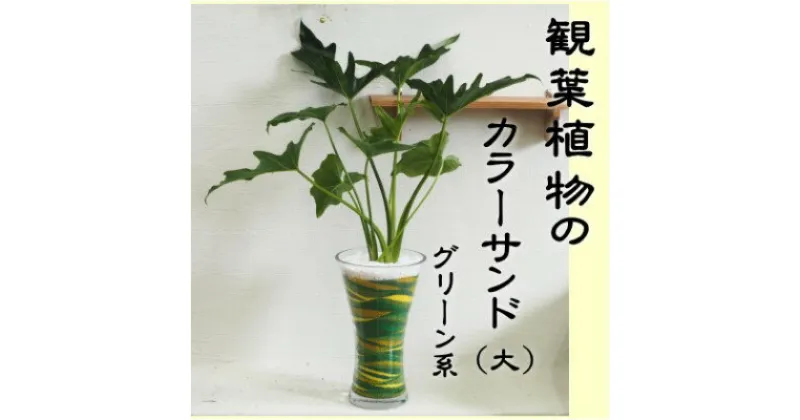 【ふるさと納税】カラーサンド（ガラス花器：大）グリーン系　 植物 インテリア 飾り 緑 部屋 玄関 グリーンインテリア ガラス花器 アート感覚 寄せ植え 1点もの