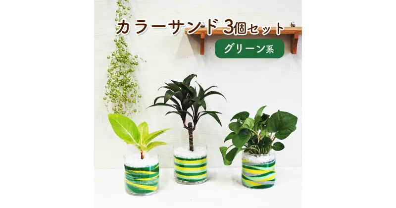 【ふるさと納税】カラーサンド 3個 セット グリーン系 植物 インテリア ガーデン　朝倉市