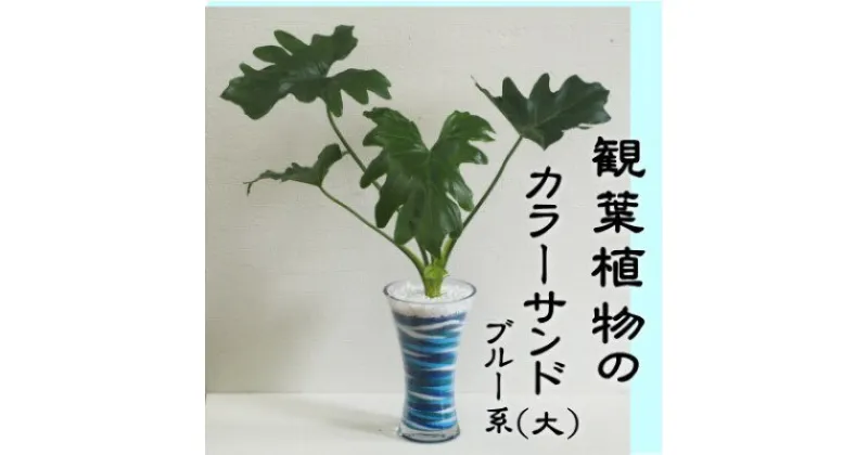 【ふるさと納税】カラーサンド（ガラス花器：大）ブルー系　 植物 インテリア 飾り 緑 グリーン 部屋 玄関 グリーンインテリア ガラス花器 アート感覚 寄せ植え 1点もの