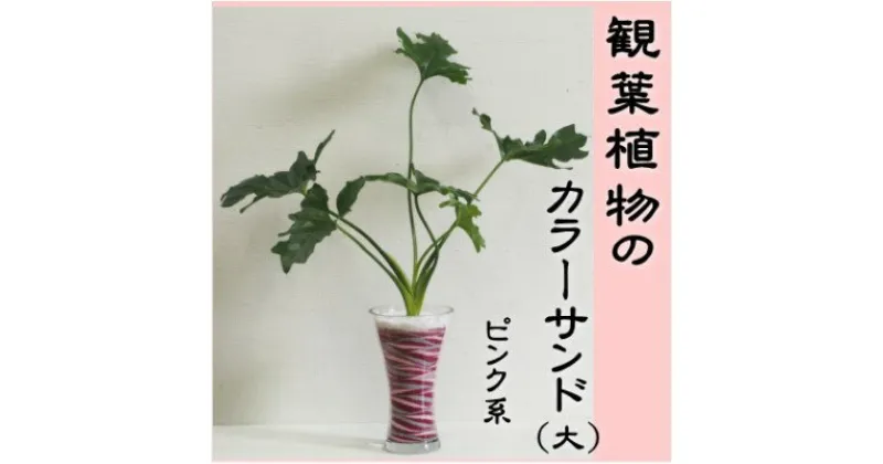 【ふるさと納税】カラーサンド（ガラス花器：大）ピンク系　 植物 インテリア 飾り 緑 グリーン 部屋 玄関 グリーンインテリア ガラス花器 アート感覚 寄せ植え 1点もの