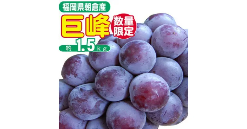 【ふるさと納税】2025年8月15日迄受付 巨峰 ぶどう 4～5房 約1.5kg 朝倉産 オンライン決済限定　 果物 フルーツ 葡萄 数量限定 デザート ジュース ゼリー JAS認証肥料 減農薬 大粒 産地直送 　お届け：2025年8月下旬～9月末