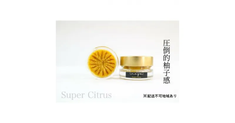 【ふるさと納税】いのや。の柚子胡椒＜黄Super Citrus＞60g※配送不可：離島　 調味料 アクセント フルーティー 辛みが少ない 果実感 パスタ 鍋料理 揚げ物 ドレッシング