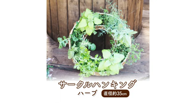 【ふるさと納税】ハーブ サークルハンキング 直径35cm 植物 インテリア ガーデン　朝倉市