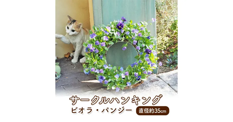 【ふるさと納税】花 サークルハンキング ビオラ パンジー 直径35cm 植物 インテリア ガーデン　朝倉市　お届け：2024年11月20日～2025年3月25日