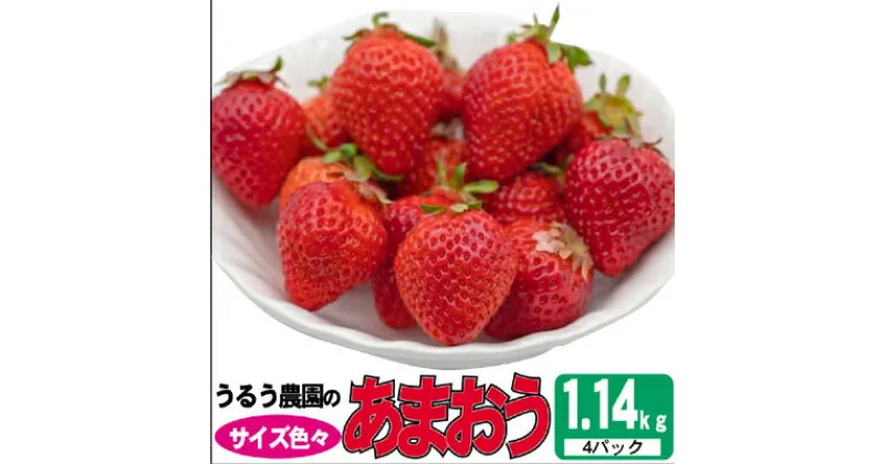 【ふるさと納税】いちご 2023年12月より発送 うるう農園のあまおう サイズ色々4パック 約1.14kg※配送不可：離島　【 果物 フルーツ デザート 食後 特別栽培 福岡県産 国産 日本産 】　お届け：2024年12月中旬～2025年3月末