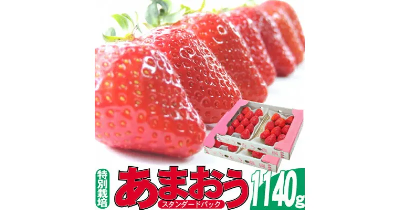 【ふるさと納税】いちご 2023年12月より発送 うるう農園のあまおう スタンダード4パック 約1.14kg※配送不可：離島　【 果物 フルーツ デザート 食後 特別栽培 福岡県産 国産 日本産 】　お届け：2024年12月中旬～2025年3月末