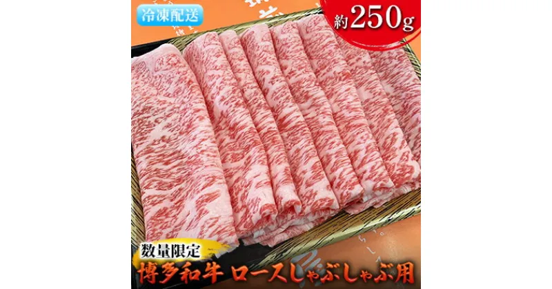 【ふるさと納税】数量限定 牛肉 博多和牛 ロース しゃぶしゃぶ用 約250g 配送不可 離島　 お肉 霜降り やわらかい きめ細かい 黒毛和牛 国産 国産牛 牛しゃぶ 肉料理 食材 食べ物 グルメ