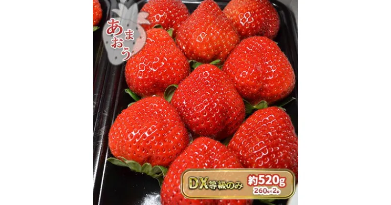 【ふるさと納税】いちご あまおう DX 等級のみ 約520g（260g×2パック）配送不可 北海道 東北 沖縄 離島　朝倉市　お届け：2024年1月上旬～4月中旬