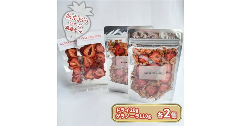 【ふるさと納税】ドライフルーツ グラノーラ セット あまおうドライ 20g×2＋いちごいちごいちごあまおうグラノーラ 2パック セット　 加工食品 砂糖不使用 シリアル 朝食 朝ごはん 小腹 特別栽培