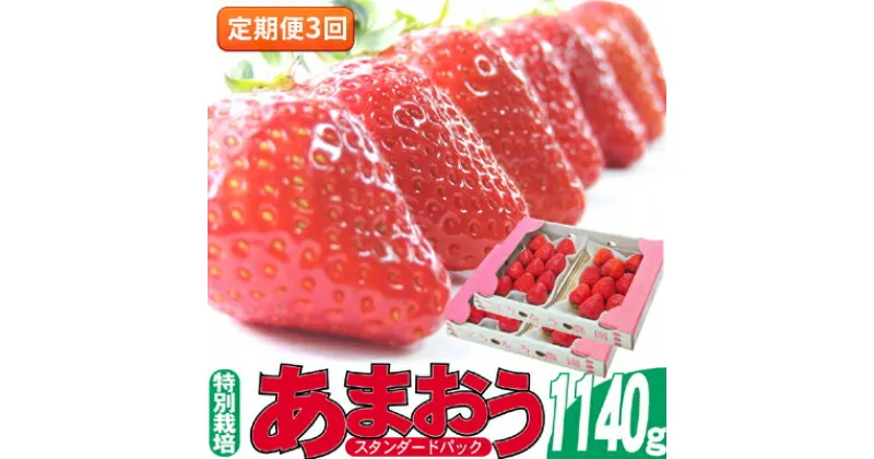 【ふるさと納税】定期便 3回 いちご 発送時期 2025年2月～4月 うるう農園のあまおう スタンダード4パック 約1.14kg 配送不可 離島　定期便・ 果物類 フルーツ 安心 安全 美味しい 食べやすい 　お届け：2025年2月～4月