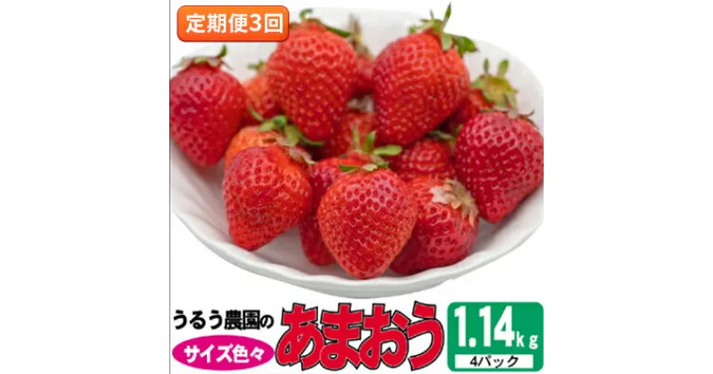 【ふるさと納税】定期便 3回 いちご 発送時期 2025年2月～4月 うるう農園のあまおう サイズ色々 4パック 約1.14kg 配送不可 離島　定期便・ 果物類 フルーツ 安心 安全 美味しい 食べやすい 　お届け：2025年2月～4月