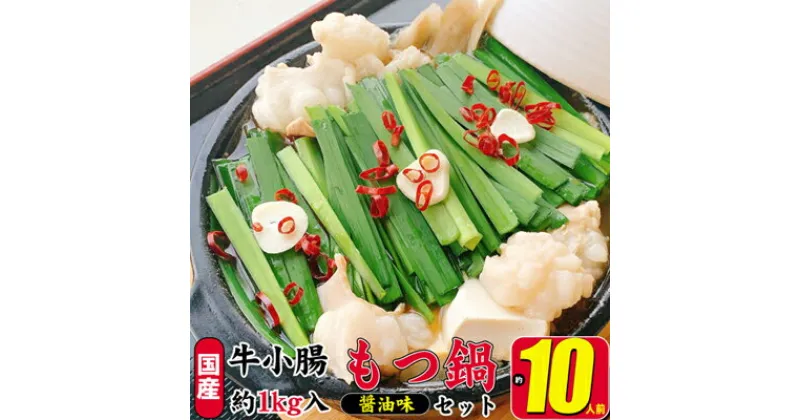 【ふるさと納税】もつ鍋 セット 醤油 約10人前 国産 牛 小腸 1000g（牛小腸 200g×5p）濃縮 スープ 50g×5p モツ鍋 肉 もつ 牛肉 お肉 配送不可 離島　 国産モツ 鍋物 鍋料理 冬 夕飯 晩御飯 忘年会 鍋パーティー