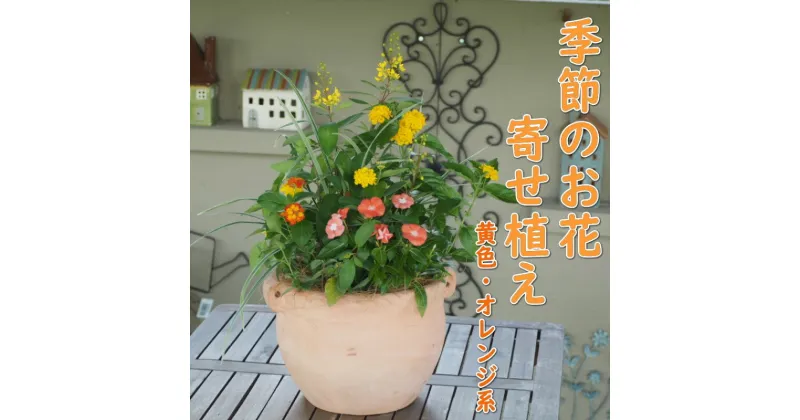 【ふるさと納税】植物 寄せ植え 季節のお花 黄色 オレンジ系 つぼ丸型 25cm ガーデニング 花　朝倉市