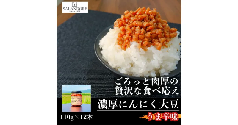 【ふるさと納税】濃厚にんにく大豆 うま辛味 110g×12本 セット　朝倉市