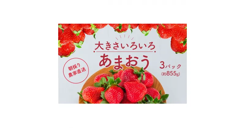 【ふるさと納税】いちご あまおう サイズ いろいろ 3パック（約855g）朝倉限定 イチゴ 苺 果物 フルーツ 配送不可：離島　朝倉市　お届け：2025年1月中旬～4月上旬