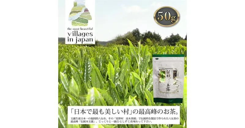 【ふるさと納税】お茶 玉露 50g×1袋 奥八女 星野村 伝統 本玉露 八女茶 星野茶 茶 緑茶　朝倉市