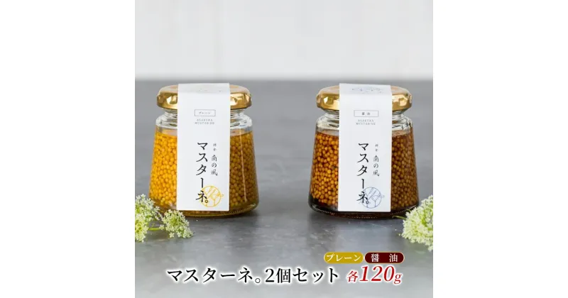 【ふるさと納税】調味料 マスタード 2個 セット マスターネ。 プレーン 醤油 各120g 瓶 食べ比べ ※配送不可:離島　朝倉市