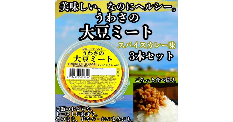 【ふるさと納税】【ふるさと納税】大豆 加工品 うわさの大豆ミート スパイスカレー味 80g×3本 セット 健康 ヘルシー　【朝倉市】　朝倉市