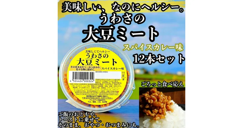 【ふるさと納税】【ふるさと納税】大豆 加工品 うわさの大豆ミート スパイスカレー味 80g×12本 セット 健康 ヘルシー　【朝倉市】　朝倉市