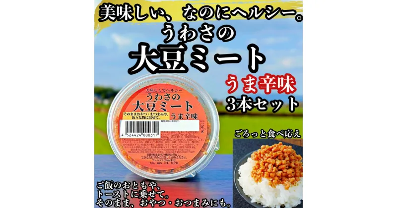 【ふるさと納税】【ふるさと納税】大豆 加工品 うわさの大豆ミート うま辛味 80g×3本 セット 健康 ヘルシー　【朝倉市】　朝倉市