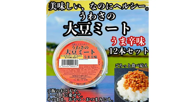 【ふるさと納税】【ふるさと納税】大豆 加工品 うわさの大豆ミート うま辛味 80g×12本 セット 健康 ヘルシー　【朝倉市】　朝倉市