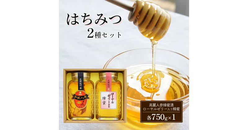 【ふるさと納税】はちみつ セット 2種 高麗人参蜂蜜漬・ローヤルゼリー入り蜂蜜 各750g×1 ハチミツ 蜂蜜 健康 KS-60　朝倉市