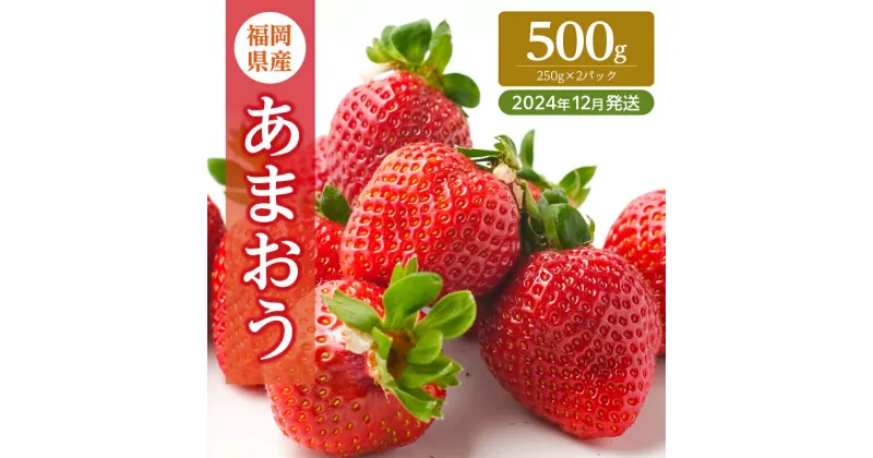 【ふるさと納税】いちご 福岡県産 あまおう 500g (250g×2パック) 先行予約 2024年12月より順次発送 果物 デザート ※配送不可：離島　朝倉市　お届け：2024年12月2日～12月28日