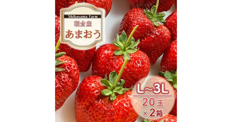 【ふるさと納税】いちご 朝倉市産 あまおう L～3L 20玉×2箱 イチゴ 苺 果物 デザート ＜Shibayama Farm＞ ※配送不可：離島　朝倉市　お届け：2024年12月中旬～2025年3月下旬