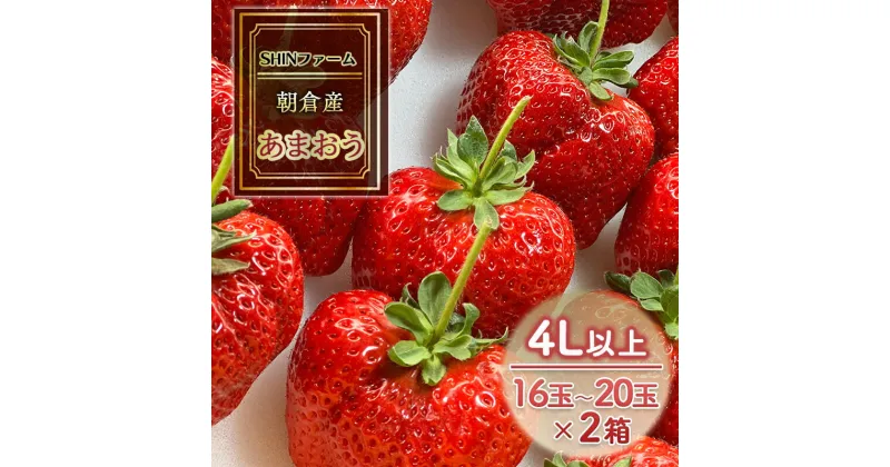 【ふるさと納税】いちご 朝倉市産 あまおう 4L以上 16玉～20玉×2箱 イチゴ 苺 果物 デザート ＜SHINファーム＞ ※配送不可：離島　朝倉市　お届け：2024年12月中旬～2025年3月下旬