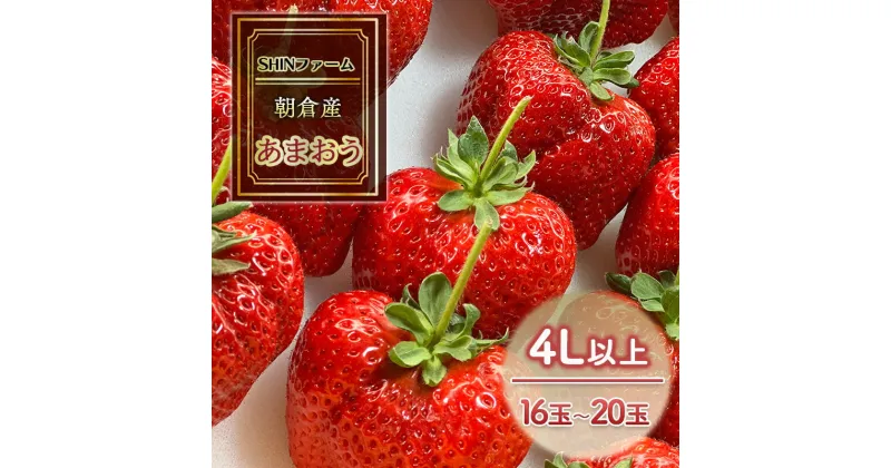 【ふるさと納税】いちご 朝倉市産 あまおう 4L以上 16玉～20玉 イチゴ 苺 果物 デザート ＜SHINファーム＞ ※配送不可：離島　朝倉市　お届け：2024年12月中旬～2025年3月下旬