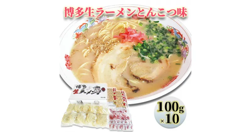 【ふるさと納税】ラーメン 博多 生ラーメン とんこつ味 1ケース 麺 とんこつ　朝倉市