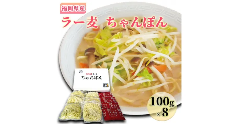 【ふるさと納税】ちゃんぽん 福岡県産 ラー麦ちゃんぽん 1ケース 麺　朝倉市