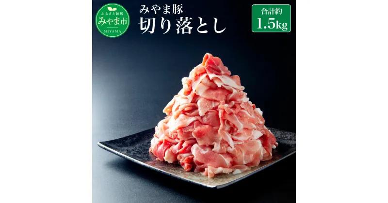 【ふるさと納税】みやま豚 切り落とし 1.5kg 約500g×3パック 1500g 生姜焼き 豚肉 小分け 肉 みやま市産 国産 九州 冷凍 送料無料