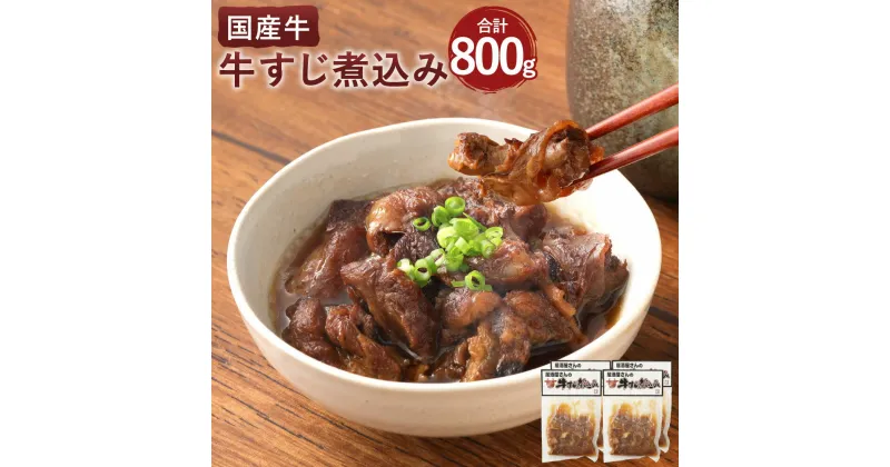 【ふるさと納税】牛すじ煮込み 合計800g 200g×4個 牛すじ 煮込み 牛スジ どて煮 土手煮 惣菜 牛肉 国産牛 冷蔵 食品 おつまみ 国産 送料無料