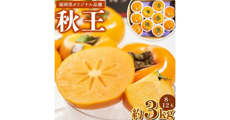 【ふるさと納税】福岡県産ブランド柿 秋王 約3kg 8-12玉 福岡県 九州産 国産 3000g 先行予約 果物 フルーツ デザート おやつ 秋の王様 オリジナルブランド 柿 甘柿 高糖度 甘い 種なし 送料無料 【2024年10月上旬～11月下旬発送予定】